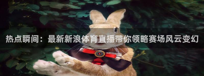 西瓜看球在线观看