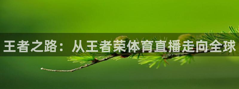 西瓜看球在线观看免费：王者之路：从王者荣体育直播走向全球