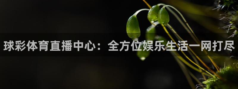 西瓜看球直播app：球彩体育直播中心：全方位娱乐生活一网打尽