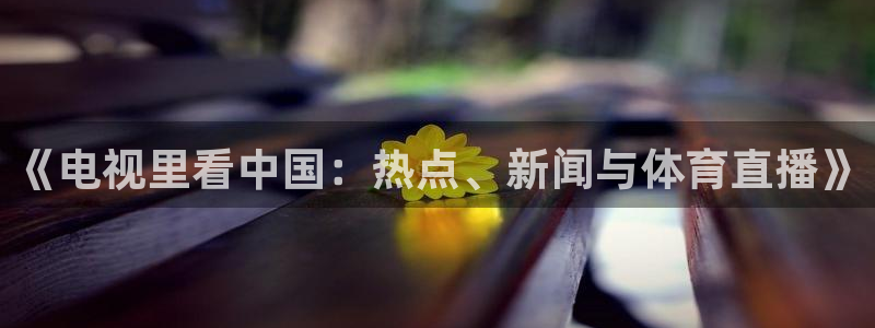 西瓜看球官网：《电视里看中国：热点、新闻与体育直播》