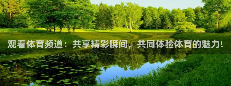 西瓜看球在线直播观看：观看体育频道：共享精彩瞬间，共同体验体育的魅力!