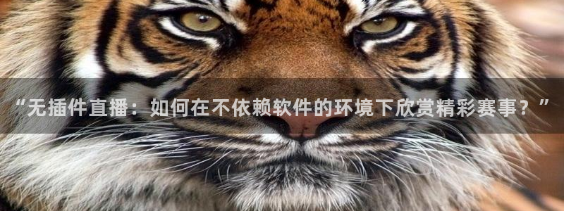 西瓜看球下载：“无插件直播：如何在不依赖软件的环境下欣赏精彩赛事？”