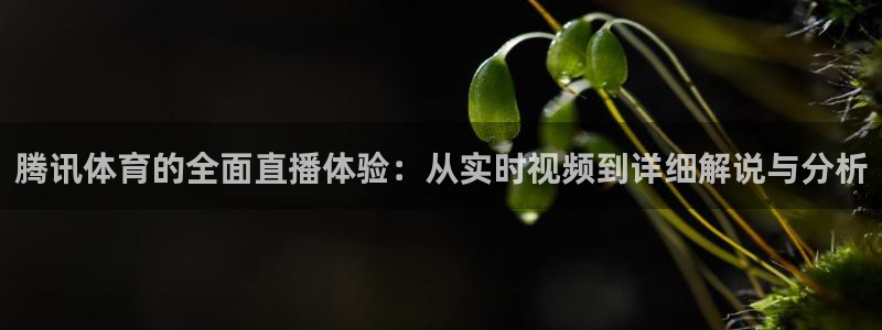 西瓜看球直播在线观看免费