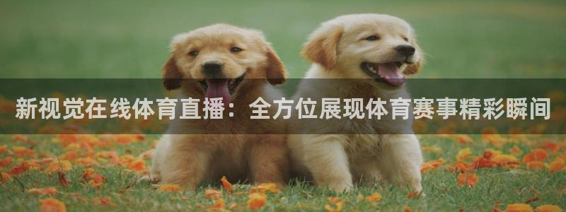 西瓜看球足球直播