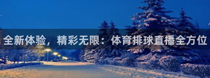 西瓜看球在线观看：全新体验，精彩无限：体育排球直播全方位