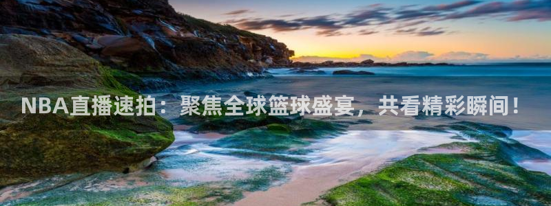 西瓜看球nba直播在线观看免费